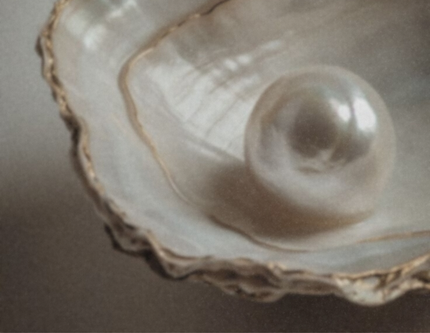 14k gold pearl earrings